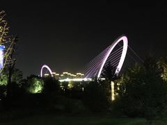 -南京眼步行桥