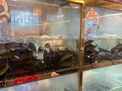 -三道苗苗鱼·美蛙黄辣丁(八里店)