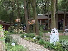 -同里国家湿地公园