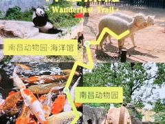 -南昌动物园