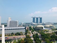 -新加坡瑞士史丹福酒店