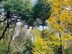 -岳麓山风景名胜区