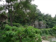 -石家庄市植物园