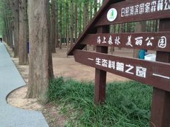 -日照海滨国家森林公园