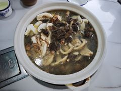 -蘑统田下·野生菌火锅