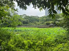 -龙头寺公园
