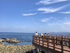 -养马岛旅游度假区