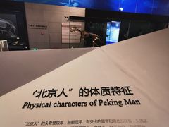 -北京周口店北京人遗址博物馆