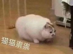 -山姆会员商店(杨桥西路店)