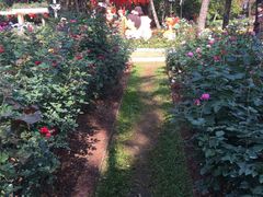 -人民公园(罗湖区)