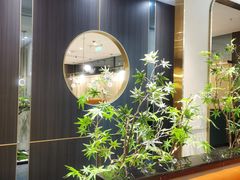 -刘胖子家常菜·蹄花焖藕(中南店)