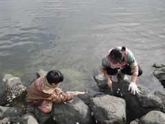 -霞海鸭仔饭店(海滨大道北店)