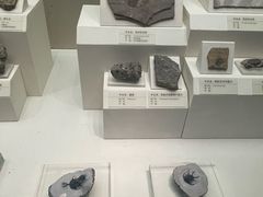 -天津自然博物馆
