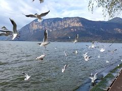 -滇池海埂公园
