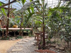 -呀路古热带植物园