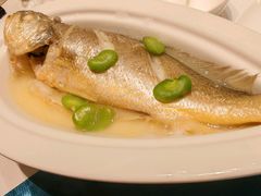 -乐和餐饮(河西大街店)