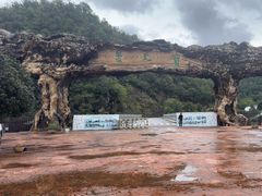 -内乡宝天曼生态旅游区