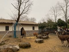 -苏州上方山国家森林公园