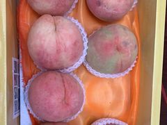 -南汇水蜜桃采摘(大团店)