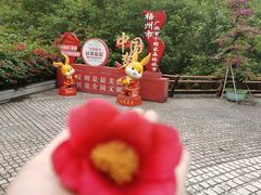 -白云山风景名胜区