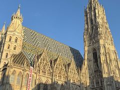 -斯蒂芬主教座堂(Stephansdom)