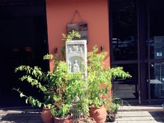 -Local泰莲庭(虹鳟鱼店)