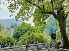 -鼎湖山风景区