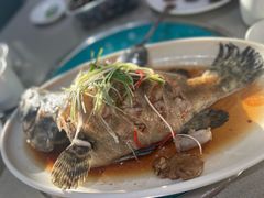 -大锅强·蒸海鲜青岛菜(吾悦广场店)