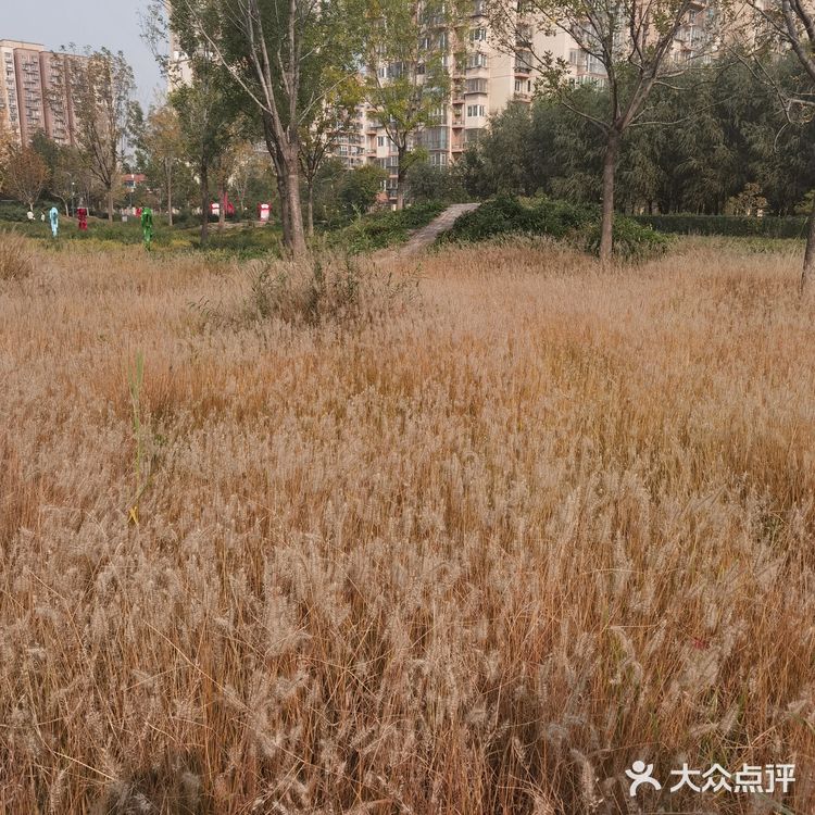 今天从大观音寺小区河边经过，竟没有认出来。原来的臭水沟