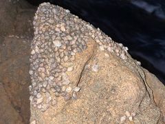 -青岛金沙滩
