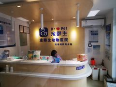 -宠颐生动物医院·心脏科·保险定点(锦阳分院)