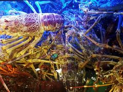 android_upload_pic-金唐海鲜酒家