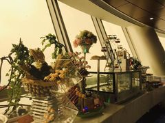 -339旋转餐厅(天府熊猫塔店)