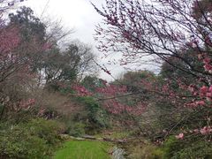 -西湖风景区-江洋畈生态公园