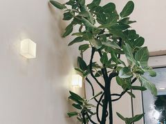 -小团圆糖水铺(襄阳南路店)