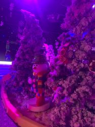 -圣名游乐城冰雪大世界
