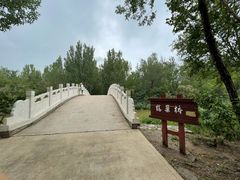 -塘沽森林公园