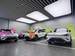 -上海浦东smart汽车全功能店(金桥店)