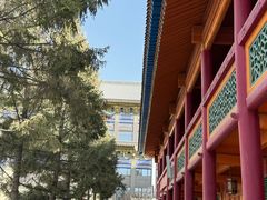 -西宁市东关清真大寺