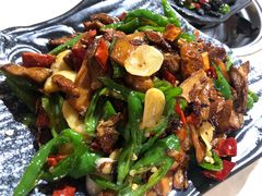 双椒牛肝菌-蘑统田下·野生菌火锅
