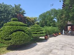 -天宁寺