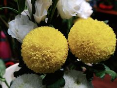 -何兮花店·气球派对鲜花店(马桥银春路万科城店)