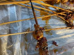 -袁师傅烤肉(弹子石店)