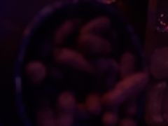 -夜火烤摊·东北烧烤酒场·老杨小黄鱼