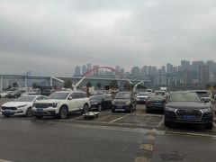 -菜园坝水果市场