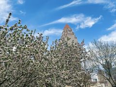 -湘印好彩图文广告(庆有西里店)