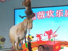 -武汉紫薇都市田园