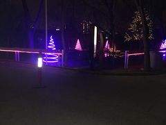 -枫花园汽车电影院(朝阳公园店)
