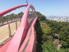 -金鸡山公园