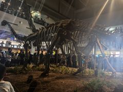 -自贡恐龙博物馆